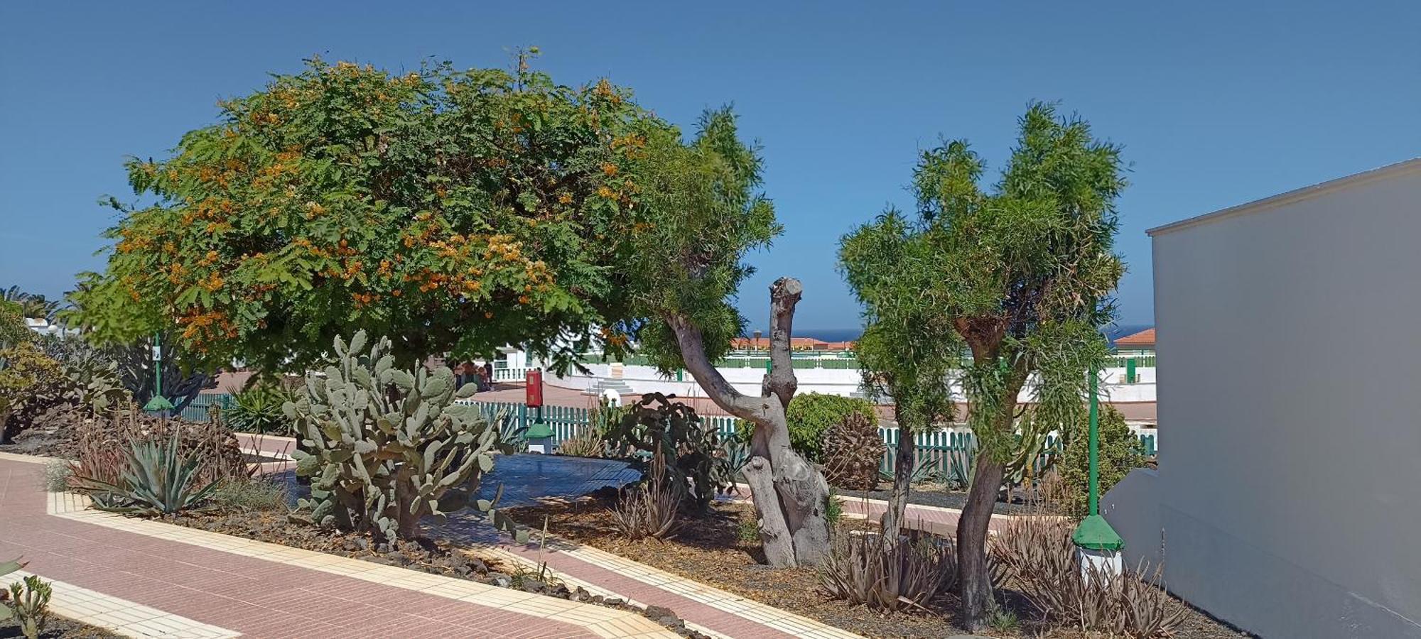 Holiday home Casa Gioeli Cocosol