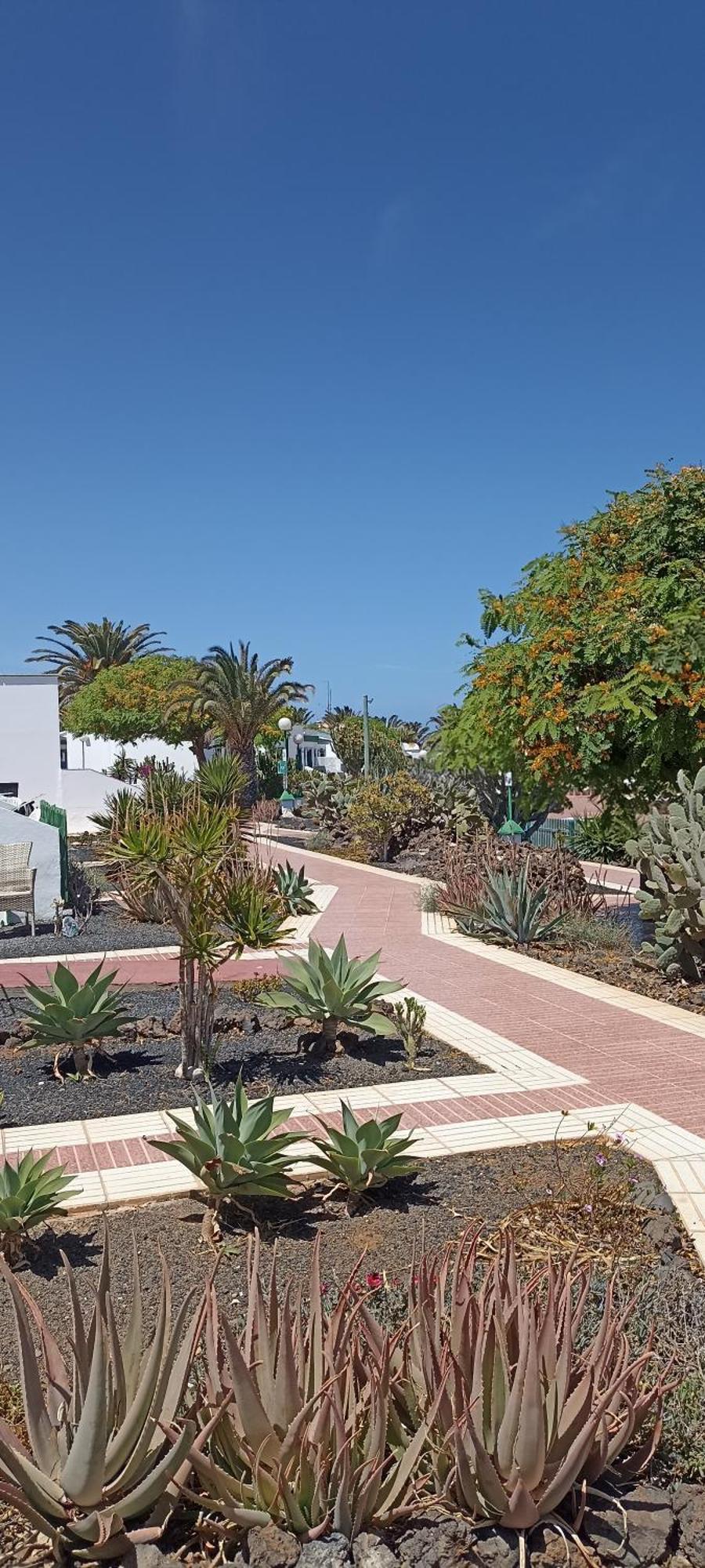 Casa Gioeli Cocosol *